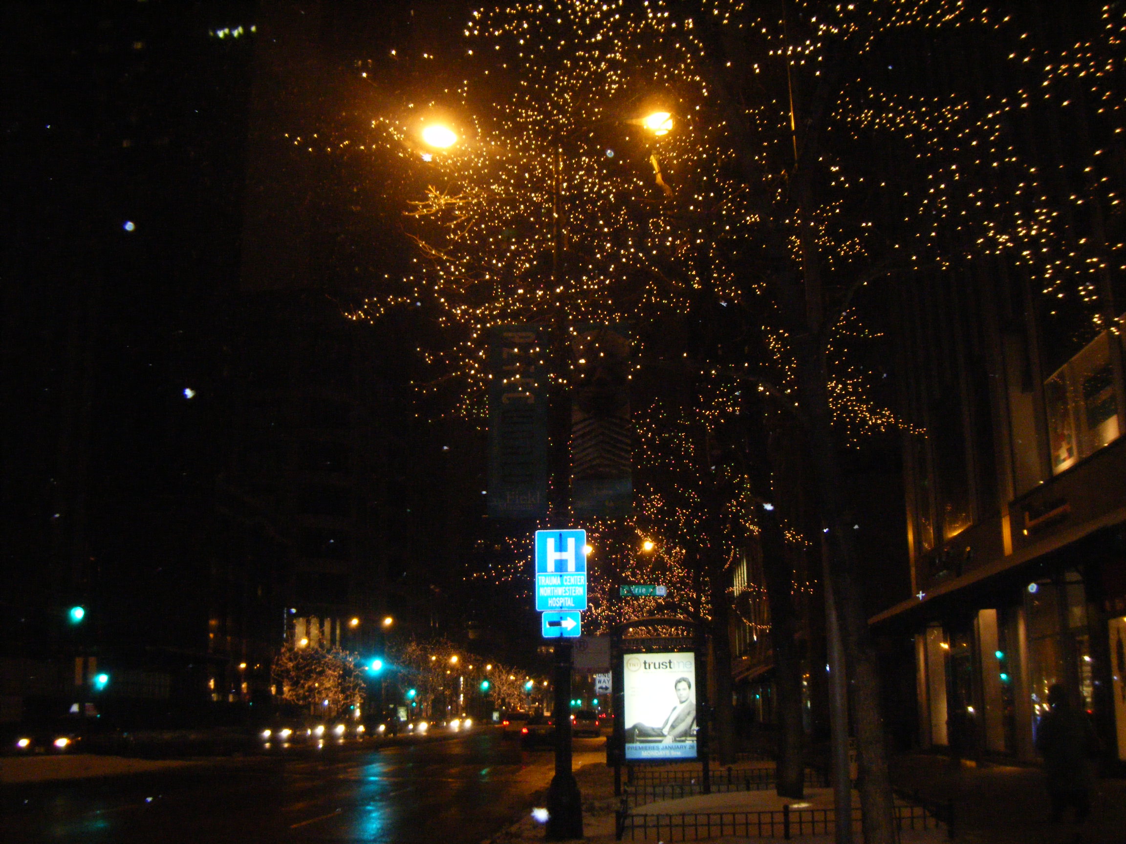 DSCF2378