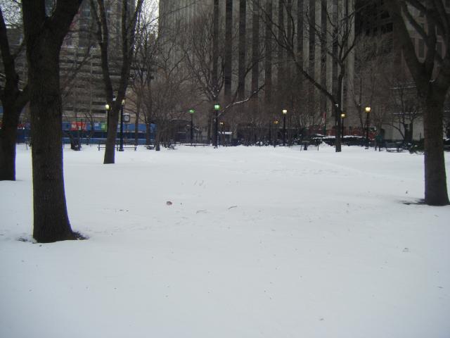 DSCF2390