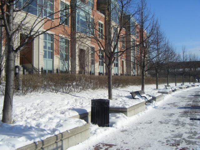 DSCF2411