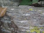 J1-13 gneiss